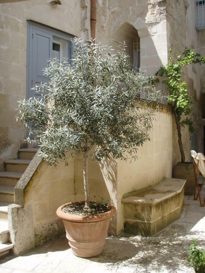 B&B Il Cortile มาเตรา ภายนอก รูปภาพ